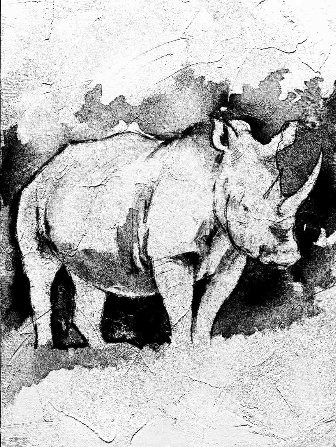 Rhino Sketch